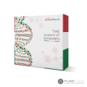 EXOITALIA ЭКЗОСОМЫ 4×5 ml